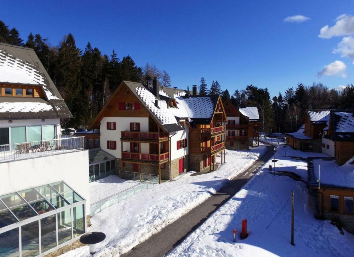 Antela, 142 M2 Appartment For 12 Person In Mariborsko Pohorje ホコ・ポホリェ エクステリア 写真
