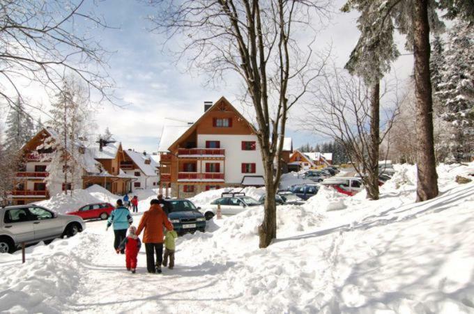 Antela, 142 M2 Appartment For 12 Person In Mariborsko Pohorje ホコ・ポホリェ エクステリア 写真